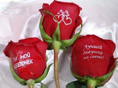 Светящиеся живые цветы с наклейками, фотография 8