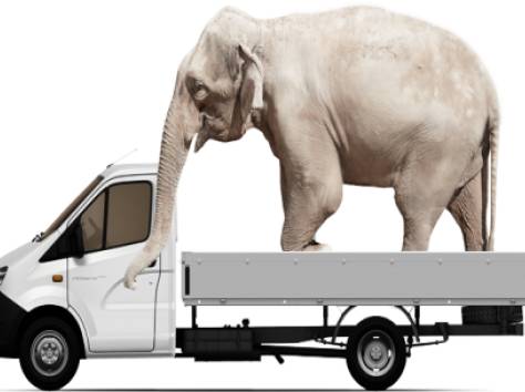 Автоперевозки точно в срок по г. Алматы  +Грузчики+Сборщик, фотография 1