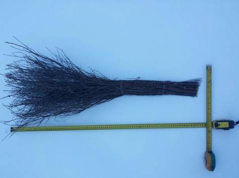 Продам веники чилижные (чилига) оптом., фотография 1