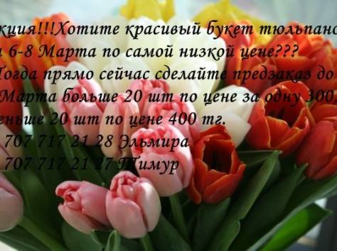 Тюльпаны, фотография 2