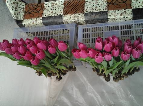 Тюльпаны Голландские к 8-му марту, фотография 5