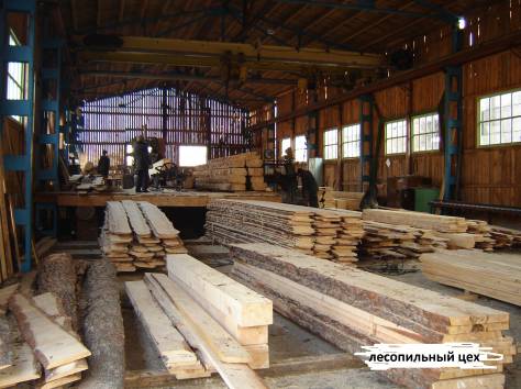 Продам деревообрабатывающее предприятие, фотография 1