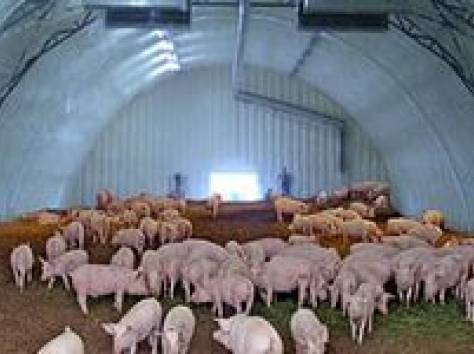 Ангары, фотография 7