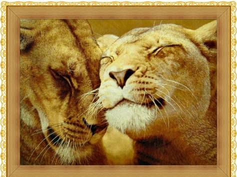 Картина из гобелена., фотография 1