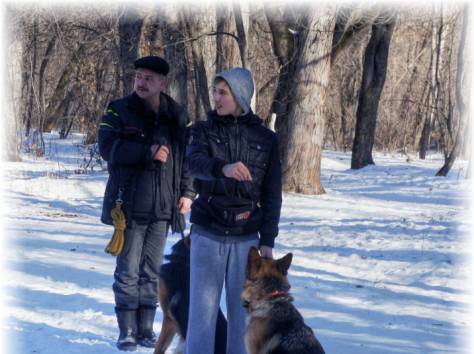 Профессиональная Дрессировка собак в Алматы!, фотография 3