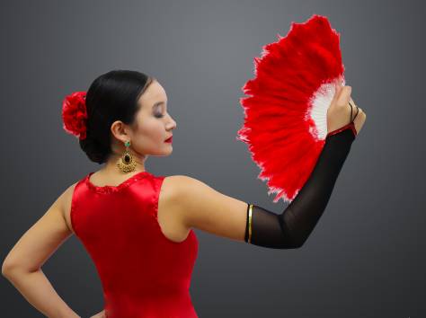 Ансамбль - танца 