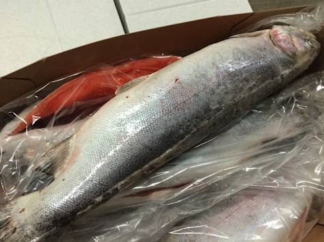 Рыба мороженая., фотография 3
