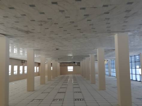 Сдам в аренду торгово-выставочный центр, ул. Бытовая 18/1, фотография 1