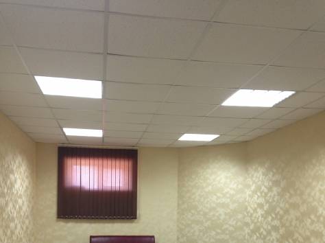 сдам офис в аренду, Тургенева 64б, фотография 2