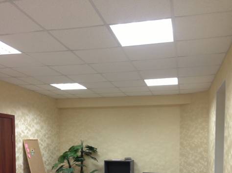 сдам офис в аренду, Тургенева 64б, фотография 3