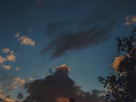 Фотосъемка, фотография 1