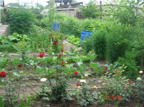 Срочно продам!!!, фотография 5