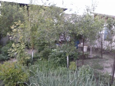 Срочно продам!!!, фотография 6