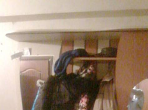 сдам комнату, розыбакиева 45, фотография 7