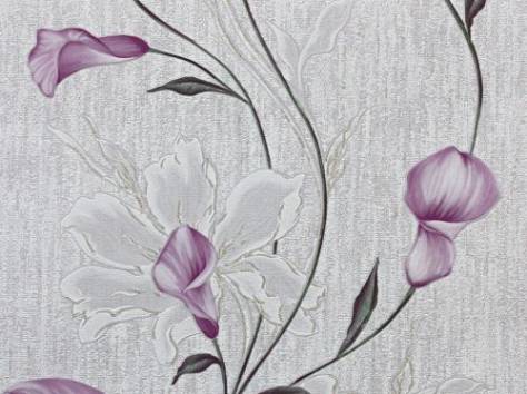 Обойный мир, фотография 2