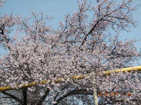 Продам квартиру, п.Алатау, Жетбаева, фотография 3