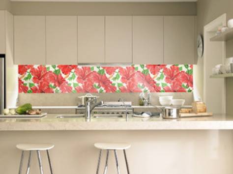 Скинали, фотография 2