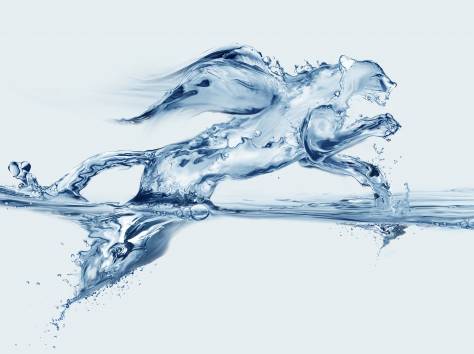 сарыагаш минеральная вода, фотография 2