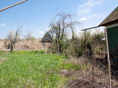 Продам два дачных участка по 6 соток, фотография 4