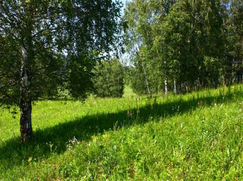 Продам участок в Горном Алтае, фотография 3
