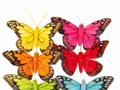 Флористический материал, фотография 4