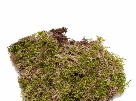 фурнитура ( все для флористики), фотография 8