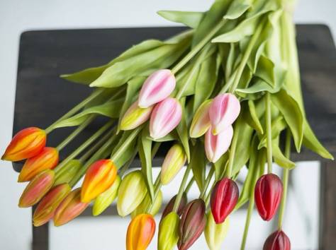 Terra Fiori / Терра Фиори, фотография 9