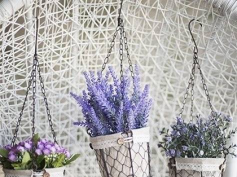 Terra Fiori / Терра Фиори, фотография 10