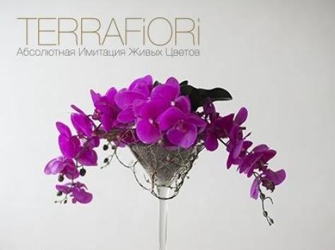 Terra Fiori / Терра Фиори, фотография 12