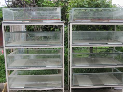 Аквариумы и стеллажи, фотография 2