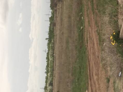 Меняю или продам земельные участки в косщах , фотография 1