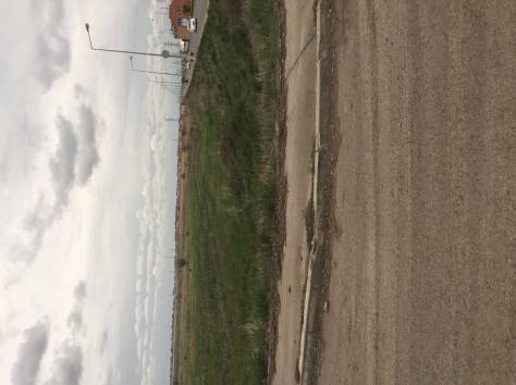 Меняю или продам земельные участки в косщах , фотография 4