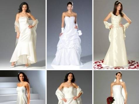 Немецкая компания ищет партнера-дистрибьютера, фотография 2