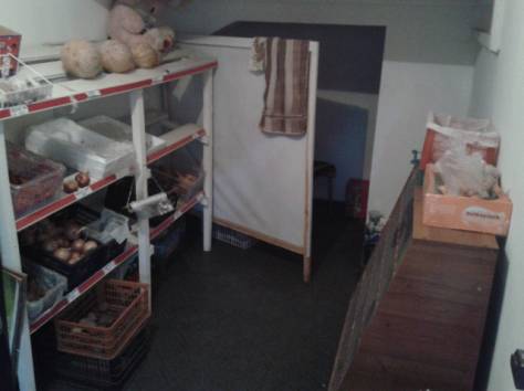 садам в аренду продуктовый  магазин  , фотография 7