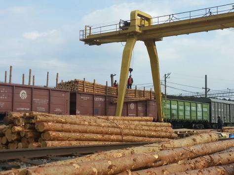 Продажа обрезной доски, круглого леса - производитель из Свердловской области, фотография 4