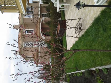 Дом в Болгарии, фотография 3