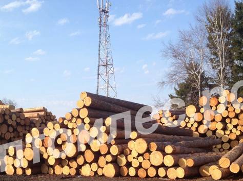 Продам оптом пиломатериалы: брус, доска обрезная, лес кругляк, вагонка, фотография 4