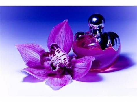 Начни свой бизнес, фотография 1