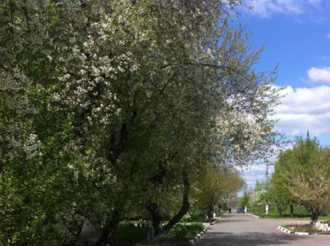 Срочно продам 2-х комн квартиру Белгород, фотография 2