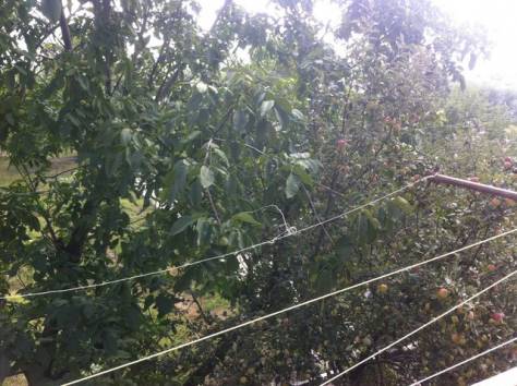 Срочно продам 2-х комн квартиру Белгород, фотография 3