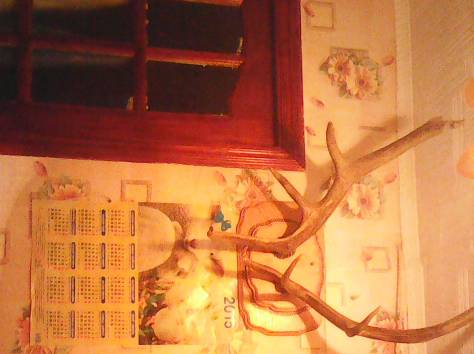 Сдам 2-х комнатную квартиру посуточно в центре Борового, фотография 9