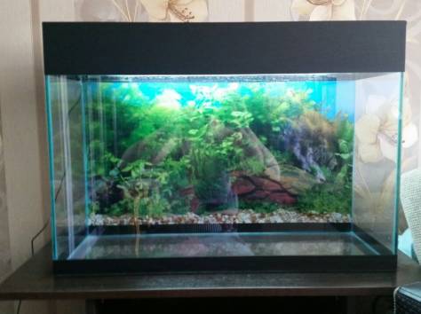 Продам новый аквариум , фотография 1