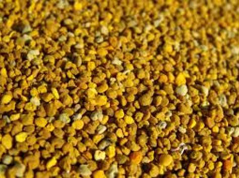 Цветочная пыльца, фотография 1