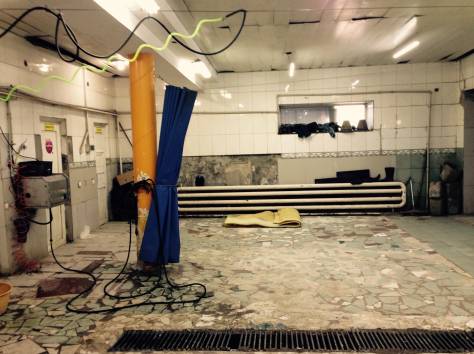 Бытовая чистка ковров и паласов. Недорого., фотография 1