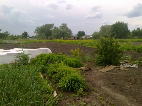 Продам дом в с.Бобровка, ВКО, фотография 1