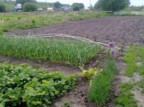 Продам дом в с.Бобровка, ВКО, фотография 6