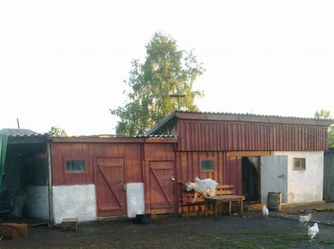 Продам дом в с.Бобровка, ВКО, фотография 11