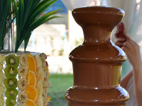 Шоколадный фонтан в Алматы, фотография 1