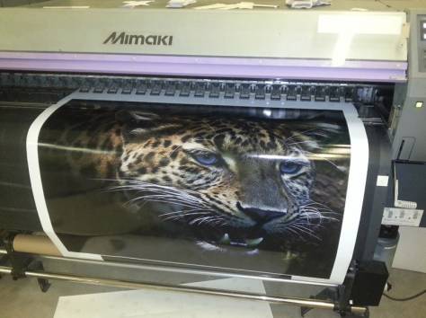 Печать на оракале, виниловой пленке, фотография 2