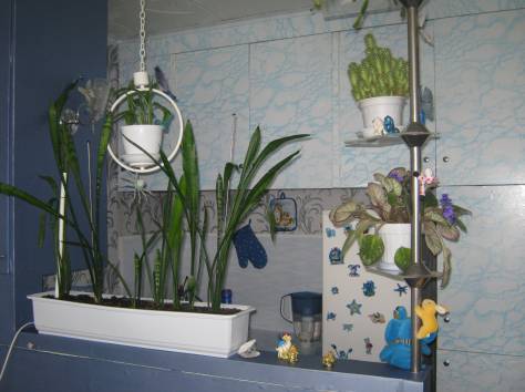 Продам уютную  квартиру, фотография 7